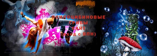 Альфа ПВП Белокуриха