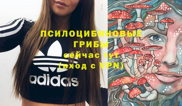 2c-b Белоозёрский
