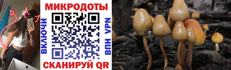 Галлюциногенные грибы ЛСД  сколько стоит  Вольск 